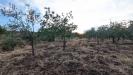 Terreno Agricolo in vendita a Floridia in contrada raiana snc - 04, Foto 4