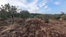 Terreno Agricolo in vendita a Floridia in contrada raiana snc - 08, Foto 8