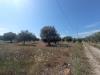 Terreno Agricolo in vendita a Siracusa in strada benali snc - 03, Foto 3