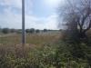 Terreno Agricolo in vendita a Siracusa in strada benali snc - 05, Foto 5