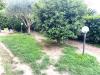 Appartamento in vendita con giardino a Viareggio in via aurelia sud 323 - 02, Foto 2