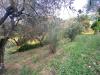 Rustico in vendita con giardino a Lucca in via torre - 09, Foto 9