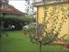 Casa indipendente in vendita con giardino a Massarosa in via ritomboli 33 - 10, Foto 10