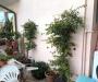 Appartamento in vendita con giardino a Viareggio in via elettrica 60 - 08, Foto 8