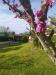 Villa in vendita con giardino a Camaiore in via padronetti 50 - 02, Foto 2