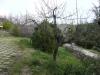 Casa indipendente in vendita con giardino a Teramo in via cavalieri di vittorio veneto - 04, Foto 4