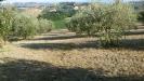 Rustico in vendita da ristrutturare a Campli in via della fonte 13 - 04, Foto 4