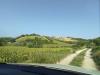 Terreno Agricolo in vendita a Controguerra - 03, Foto 3