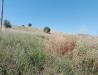 Terreno Agricolo in vendita a Sant'Omero - 04, Foto 4