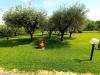 Villa in vendita con giardino a Massa - ricortola - 06