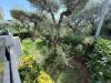 Appartamento in vendita con giardino a Massa - 03