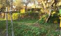 Villa in vendita con giardino a Massa - san carlo - 06