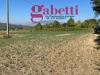 Terreno Agricolo in vendita a Raviscanina - 05, 449f248c-2d26-457a-a089-f9302713ff6c.jpeg