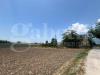 Terreno Agricolo in vendita a Alife - 10, 8.jpeg