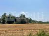 Terreno Agricolo in vendita a Alife - 04, 17.jpeg