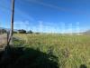 Terreno Agricolo in vendita a Alife - 02, 1a533925-7eb0-4c7a-8346-e8e8fd3b949c.jpg