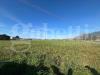 Terreno Agricolo in vendita a Alife - 03, e030748e-fe2c-4d7b-a433-ea2d79b053e7.jpg