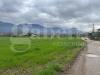 Terreno Agricolo in vendita a Alife - 04, 60807044-6a1b-42c3-bb5c-261c6f0a2cfe.jpg
