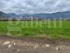 Terreno Agricolo in vendita a Alife - 06, b125b1f2-abaa-49f9-91d0-26fd21ef1bc6.jpg