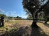 Terreno Agricolo in vendita a Alife - 04, 2.jpeg
