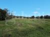 Terreno Agricolo in vendita a Alvignano - 04, 4.jpeg