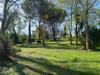 Villa in vendita con giardino a Velletri - 06, 2badb848-f119-4348-bffa-73265e5f4e2a.jpeg