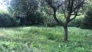 Terreno Agricolo in vendita a Legnano in via ponzella brugheria - 04, Giardino