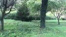 Terreno Agricolo in vendita a Legnano in via ponzella brugheria - 06, Giardino