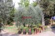 Appartamento in vendita con giardino a Empoli - 08, Untitled design - 16.png