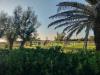 Appartamento in vendita con giardino a Tarquinia - 10, Foto 10