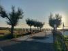 Appartamento in vendita con giardino a Tarquinia - 07, Foto 7