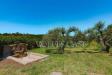 Villa in vendita con giardino a Capena in via madonna ue ponti - 03, Foto 3