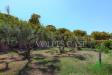 Villa in vendita con giardino a Capena in via madonna ue ponti - 04, Foto 4