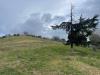 Rustico in vendita a Ripatransone in strada provinciale 32 - 04, Foto 4
