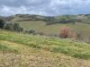 Rustico in vendita a Ripatransone in strada provinciale 32 - 06, Foto 6