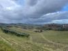 Terreno Agricolo in vendita a Acquaviva Picena in strada provinciale 83 - 05, Foto 5