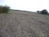 Terreno Agricolo in vendita a Acquaviva Picena in contrada sant'angelo - 03, Foto 3
