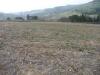 Terreno Agricolo in vendita a Acquaviva Picena in contrada sant'angelo - 04, Foto 4