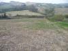 Terreno Agricolo in vendita a Acquaviva Picena in contrada sant'angelo - 05, Foto 5