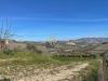 Rustico in vendita da ristrutturare a Offida in sp 92 - 06, Foto 6