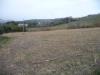 Terreno Agricolo in vendita a Acquaviva Picena in contrada sant'angelo - 02, Foto 2