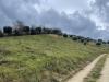 Terreno Agricolo in vendita a Acquaviva Picena in strada provinciale 83 - 08, Foto 8
