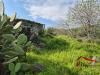 Terreno Agricolo in vendita a Aci Castello in via di bartolo - 10, Foto 10