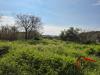 Terreno Agricolo in vendita a Aci Castello in via di bartolo - 07, Foto 7