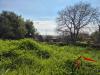 Terreno Agricolo in vendita a Aci Castello in via di bartolo - 09, Foto 9