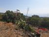 Terreno Agricolo in vendita a San Gregorio di Catania in via sciarone - 04, Foto 4
