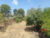 Terreno Agricolo in vendita a San Gregorio di Catania in via sciarone - 02, Foto 2
