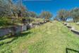 Villa in vendita con giardino a Alatri in via allegra snc - 04, Foto 4