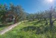 Villa in vendita con giardino a Alatri in via allegra snc - 05, Foto 5