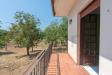 Villa in vendita con giardino a Roccasecca in via panniglia iv snc - 03, Foto 3
